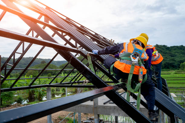Professional Roofing Contractor in Toledo, IL
