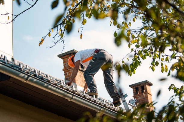 Best Residential Roofing Contractor  in Toledo, IL