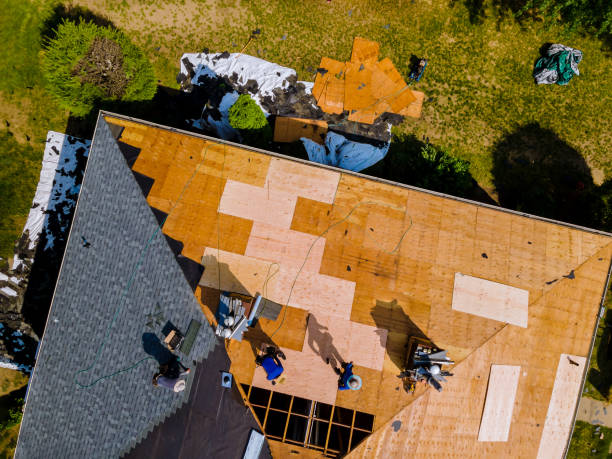 Best Flat Roof Repair Services  in Toledo, IL