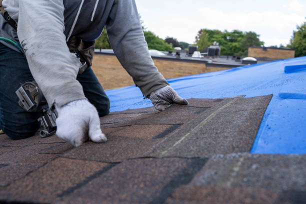 Best Residential Roofing Contractor  in Toledo, IL