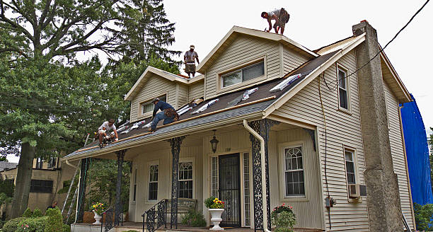 Roof Repair Estimates in Toledo, IL