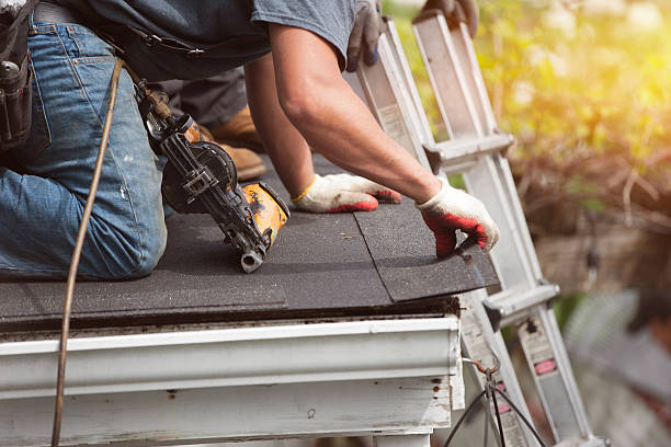 Best Metal Roofing Contractor  in Toledo, IL
